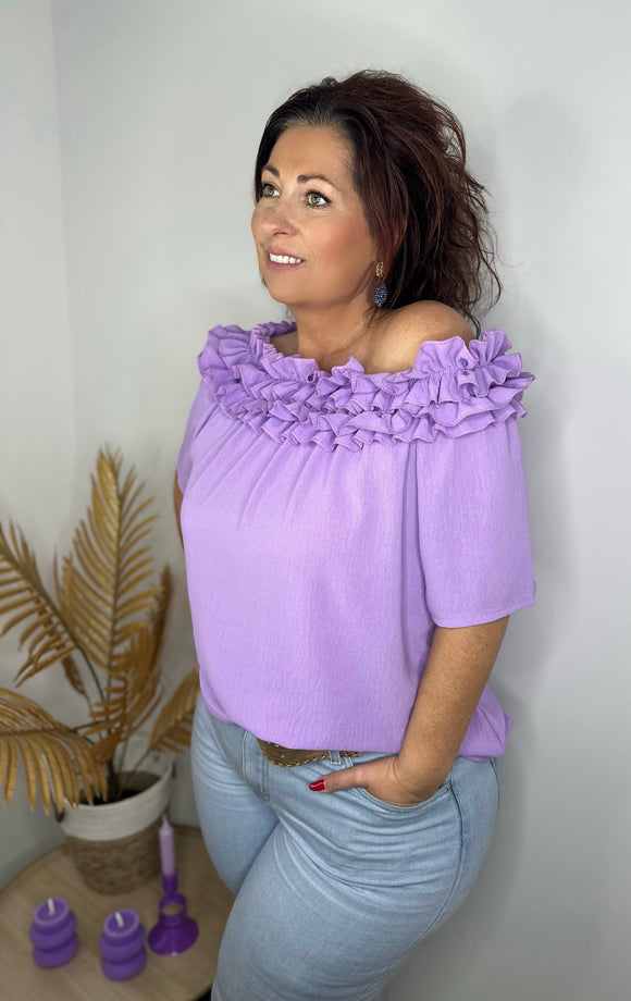 Blouse ROEZEL paars